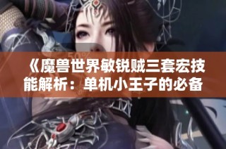 《魔兽世界敏锐贼三套宏技能解析：单机小王子的必备攻略》