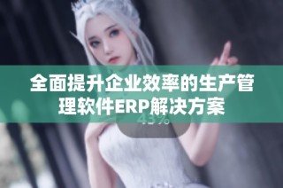 全面提升企业效率的生产管理软件ERP解决方案