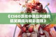 《CSGO游戏中暴躁阿姨的搞笑瞬间与精彩回顾》