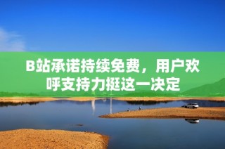 B站承诺持续免费，用户欢呼支持力挺这一决定