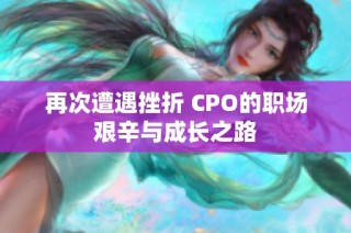 再次遭遇挫折 CPO的职场艰辛与成长之路