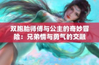 双胞胎师傅与公主的奇妙冒险：兄弟情与勇气的交融