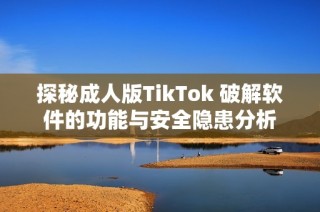 探秘成人版TikTok 破解软件的功能与安全隐患分析