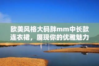 欧美风格大码胖mm中长款连衣裙，展现你的优雅魅力