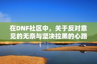 在DNF社区中，关于反对意见的无奈与坚决拉黑的心路历程