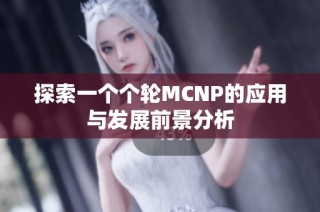 探索一个个轮MCNP的应用与发展前景分析