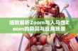 细致解析Zoom与人马性Zoom的异同与应用场景