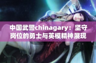 中国武警chinagary：坚守岗位的勇士与英模精神展现