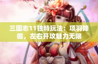 三国志11独特玩法：项羽降临，左右开攻魅力无限