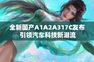 全新国产A1A2A317C发布 引领汽车科技新潮流