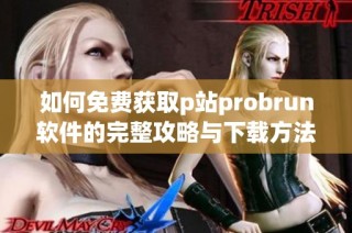 如何免费获取p站probrun软件的完整攻略与下载方法