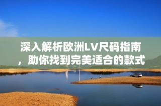 深入解析欧洲LV尺码指南，助你找到完美适合的款式