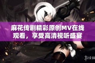 麻花传剧精彩原创MV在线观看，享受高清视听盛宴