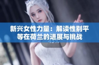 新兴女性力量：解读性别平等在荷兰的进展与挑战