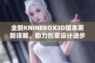 全新KNINEBOX3D版本更新详解，助力创意设计进步