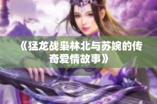 《猛龙战枭林北与苏婉的传奇爱情故事》