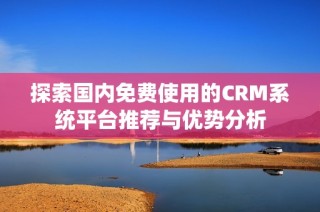 探索国内免费使用的CRM系统平台推荐与优势分析