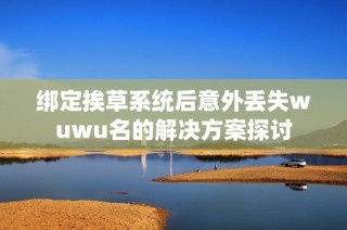 绑定挨草系统后意外丢失wuwu名的解决方案探讨