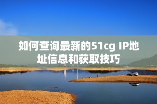 如何查询最新的51cg IP地址信息和获取技巧