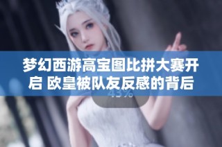 梦幻西游高宝图比拼大赛开启 欧皇被队友反感的背后故事