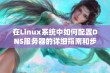 在Linux系统中如何配置DNS服务器的详细指南和步骤解析