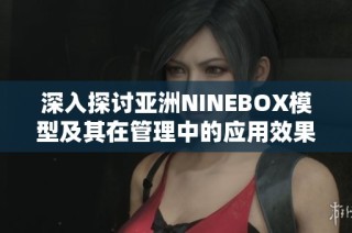 深入探讨亚洲NINEBOX模型及其在管理中的应用效果分析