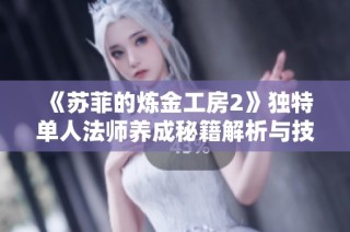 《苏菲的炼金工房2》独特单人法师养成秘籍解析与技巧分享