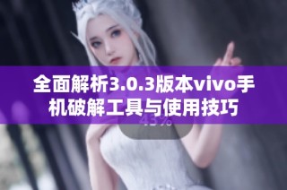 全面解析3.0.3版本vivo手机破解工具与使用技巧