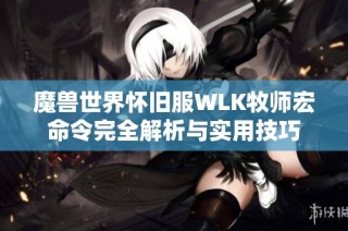 魔兽世界怀旧服WLK牧师宏命令完全解析与实用技巧