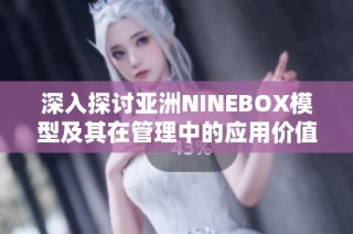 深入探讨亚洲NINEBOX模型及其在管理中的应用价值