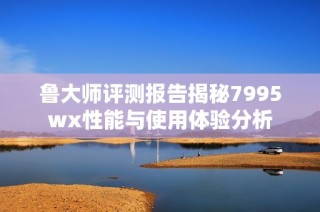 鲁大师评测报告揭秘7995wx性能与使用体验分析