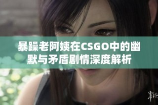 暴躁老阿姨在CSGO中的幽默与矛盾剧情深度解析