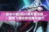 空中小姐2023满天星法版：展翅飞翔中的优雅与魅力