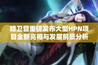 暗卫营重磅发布大型HPN项目全新亮相与发展前景分析