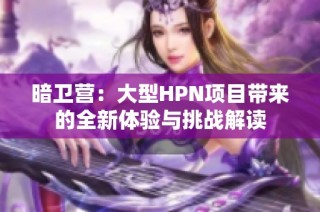 暗卫营：大型HPN项目带来的全新体验与挑战解读