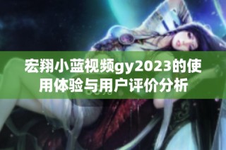 宏翔小蓝视频gy2023的使用体验与用户评价分析