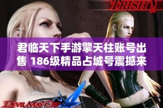 君临天下手游擎天柱账号出售 186级精品占城号震撼来袭