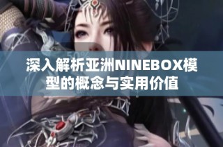 深入解析亚洲NINEBOX模型的概念与实用价值