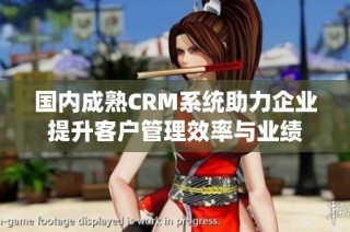 国内成熟CRM系统助力企业提升客户管理效率与业绩