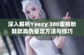 深入解析Yeezy 380蜜桃粉鞋款真伪鉴定方法与技巧