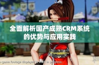 全面解析国产成熟CRM系统的优势与应用实践