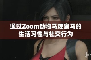 通过Zoom动物马观察马的生活习性与社交行为