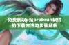 免费获取p站probrun软件的下载方法与步骤解析