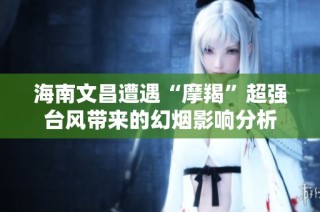 海南文昌遭遇“摩羯”超强台风带来的幻烟影响分析