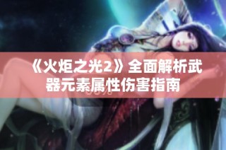 《火炬之光2》全面解析武器元素属性伤害指南