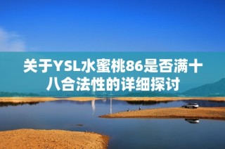 关于YSL水蜜桃86是否满十八合法性的详细探讨