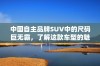 中国自主品牌SUV中的尺码巨无霸，了解这款车型的魅力与优势