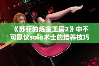 《苏菲的炼金工房2》中不可思议solo术士的培养技巧全解析