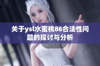 关于ysl水蜜桃86合法性问题的探讨与分析