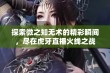 探索微之知无术的精彩瞬间，尽在虎牙直播火线之战